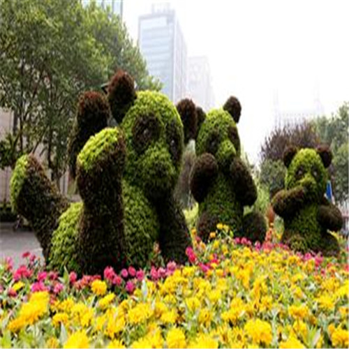 <b>案例展示</b>