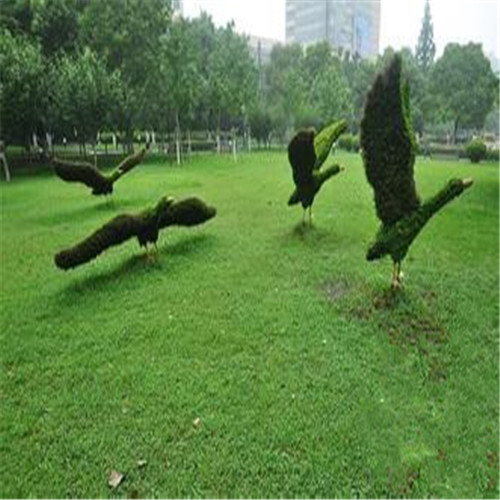 <b>案例展示</b>